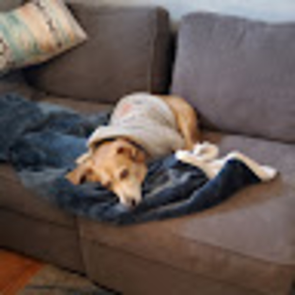 Meet your Posher, Nora